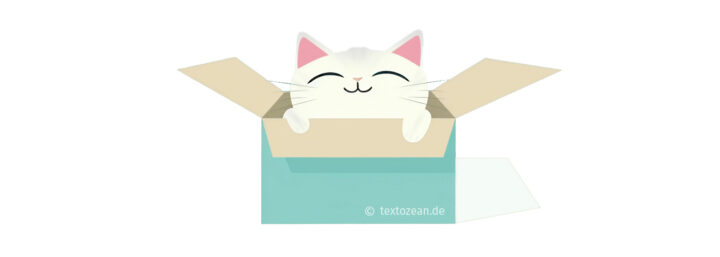 illustration of a cat in a box